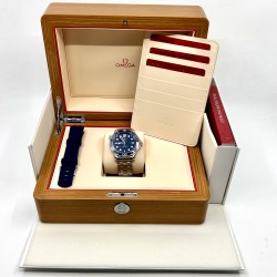 Omega Seamaster Professional