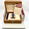 Omega Seamaster Professional