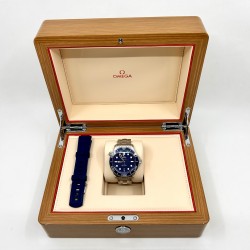 Omega Seamaster Professional