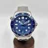 Omega Seamaster Professional
