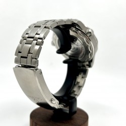 Omega Seamaster Professional