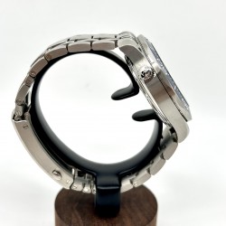 Omega Seamaster Professional