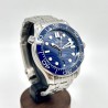 Omega Seamaster Professional