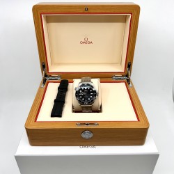 Omega Seamaster - DIVER