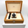 Omega Seamaster - DIVER